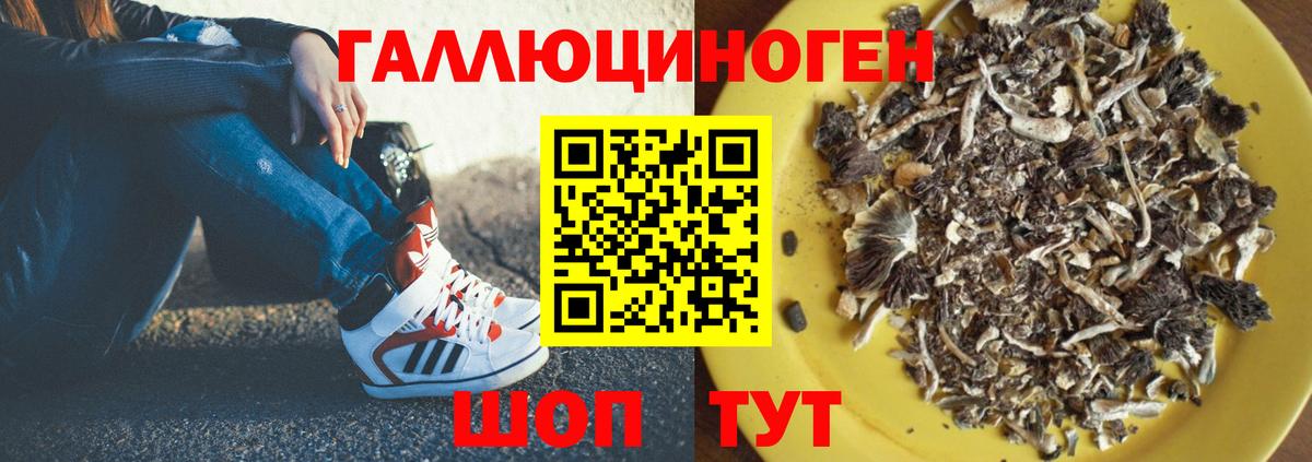 Галлюциногенные грибы мухоморы  Малгобек 