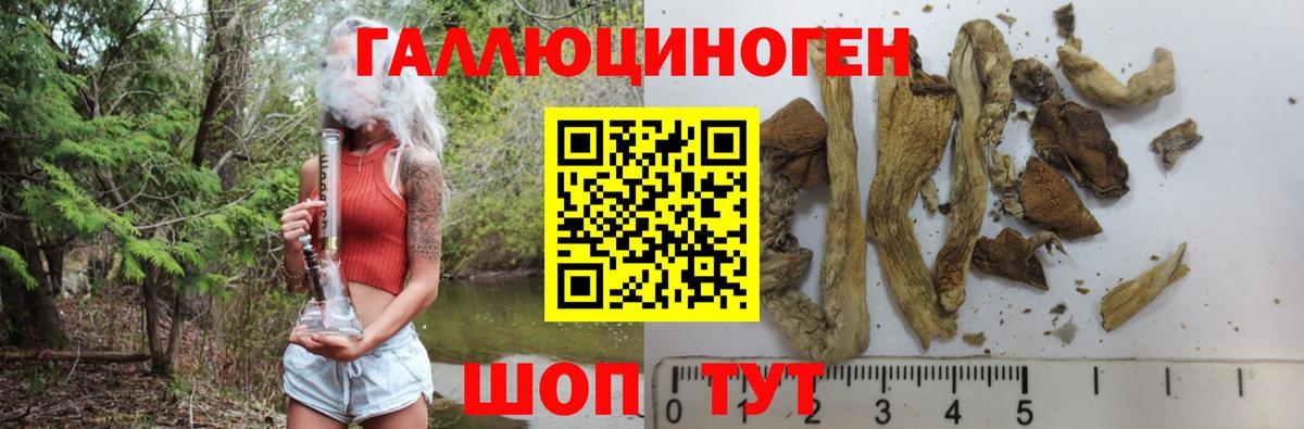 Псилоцибиновые грибы Magic Shrooms Малгобек